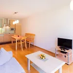 苏珊公寓酒店 * Au (Bregenz)
