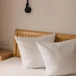 苏珊公寓酒店 * Au (Bregenz)