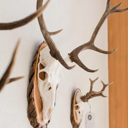 Susanne Apartamento *
