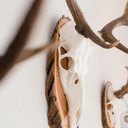 Susanne Apartamento Au (Bregenz)