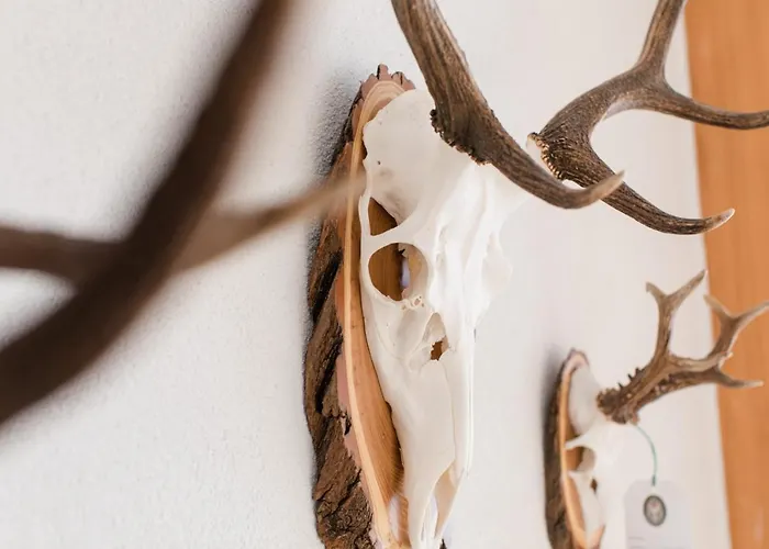 Susanne דירה Au (Bregenz)