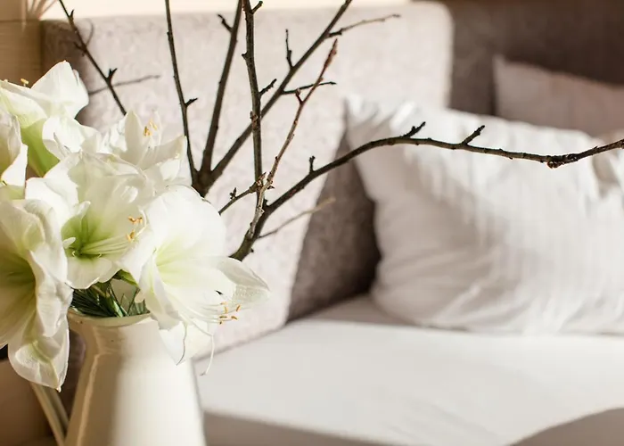 Susanne Au (Bregenz)